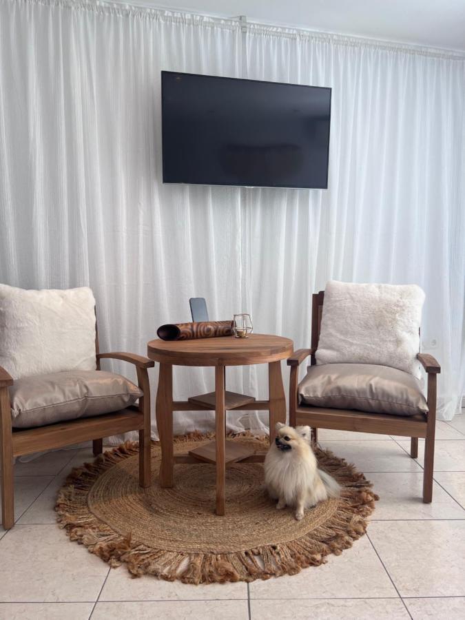 Boutique Casa Lapicida Hotel Calpe Eksteriør billede